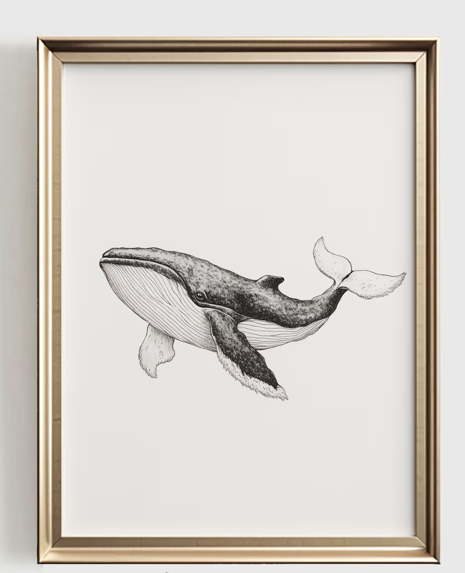 Baby Nursery Neutral - ภาพพิมพ์ลายเส้นวาฬ, ของตกแต่งห้องเด็กสไตล์มินิมอล, ภาพศิลปะขาวดำสำหรับห้องเด็ก, ของขวัญงานศิลปะพิมพ์ลายสำหรับห้องเด็กสไตล์ชายฝั่งโทนสีกลางๆ